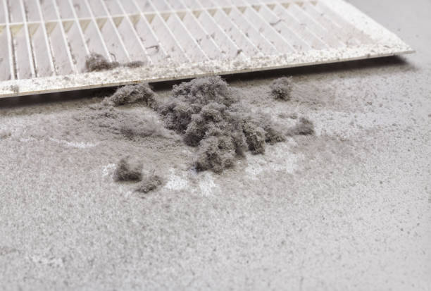 Best Ductwork Cleaning Services  in Eldorado, IL