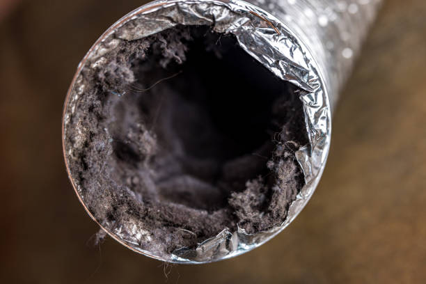 Best HVAC Duct Inspection Services  in Eldorado, IL